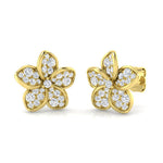 Earring 18 KT Yellow Gold