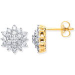 9ct Yellow Gold 1.00ct Diamond Cluster Stud Earrings